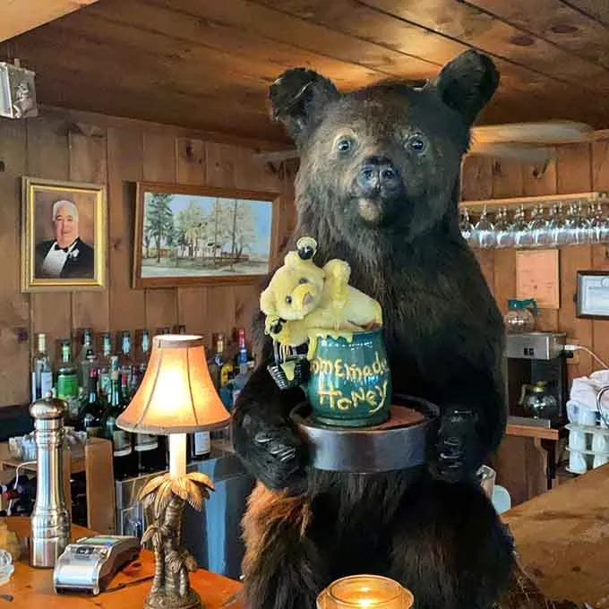 The stuffed black bear holding a honey pot at the bar
